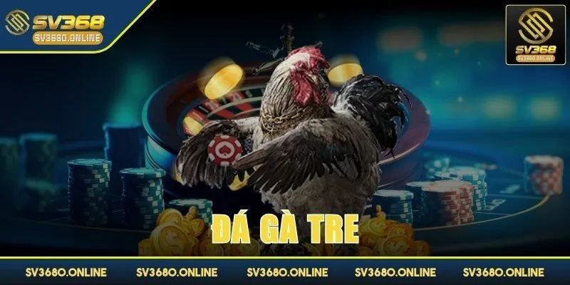 Đá gà tre tại SV368 - Trải nghiệm các trận đấu đỉnh cao 1 da ga tre anh dai dien
