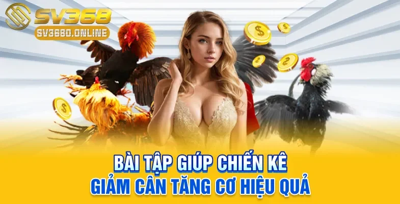 Cách Ép Cân Cho Gà Chọi - Mẹo Giảm Mỡ Tăng Cơ Sau 7 Ngày 4 Bài tập giúp chiến kê giảm cân tăng cơ hiệu quả